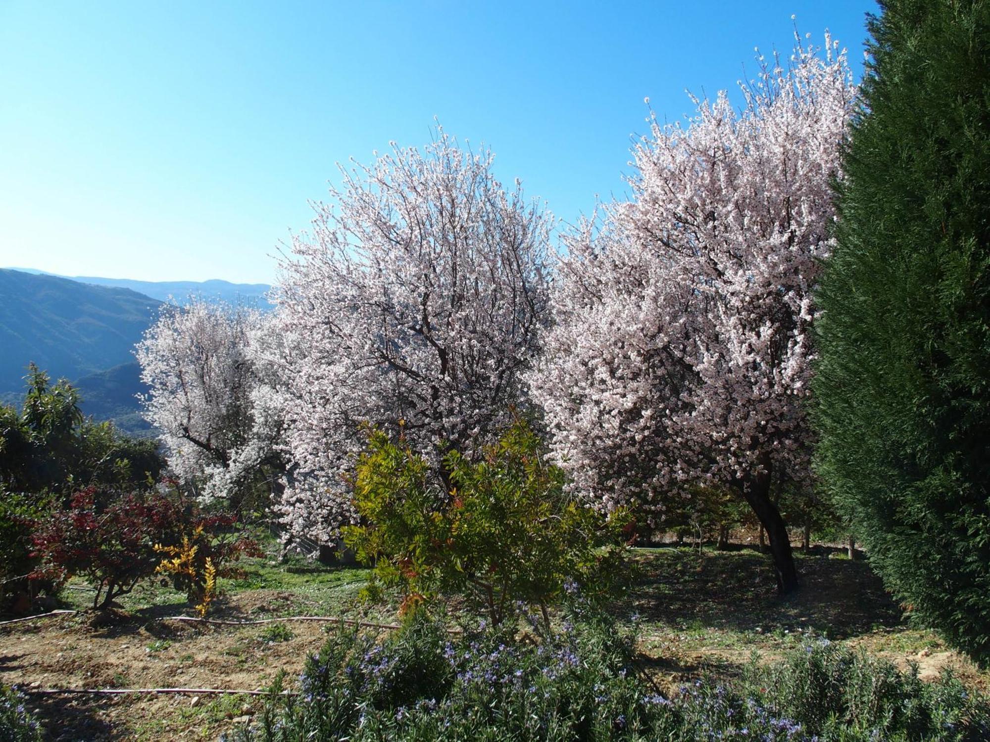 Готель Ktima Noosfera Wellness & Retreat Center Karia  Екстер'єр фото